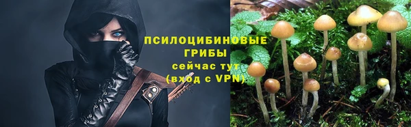 спиды Аркадак